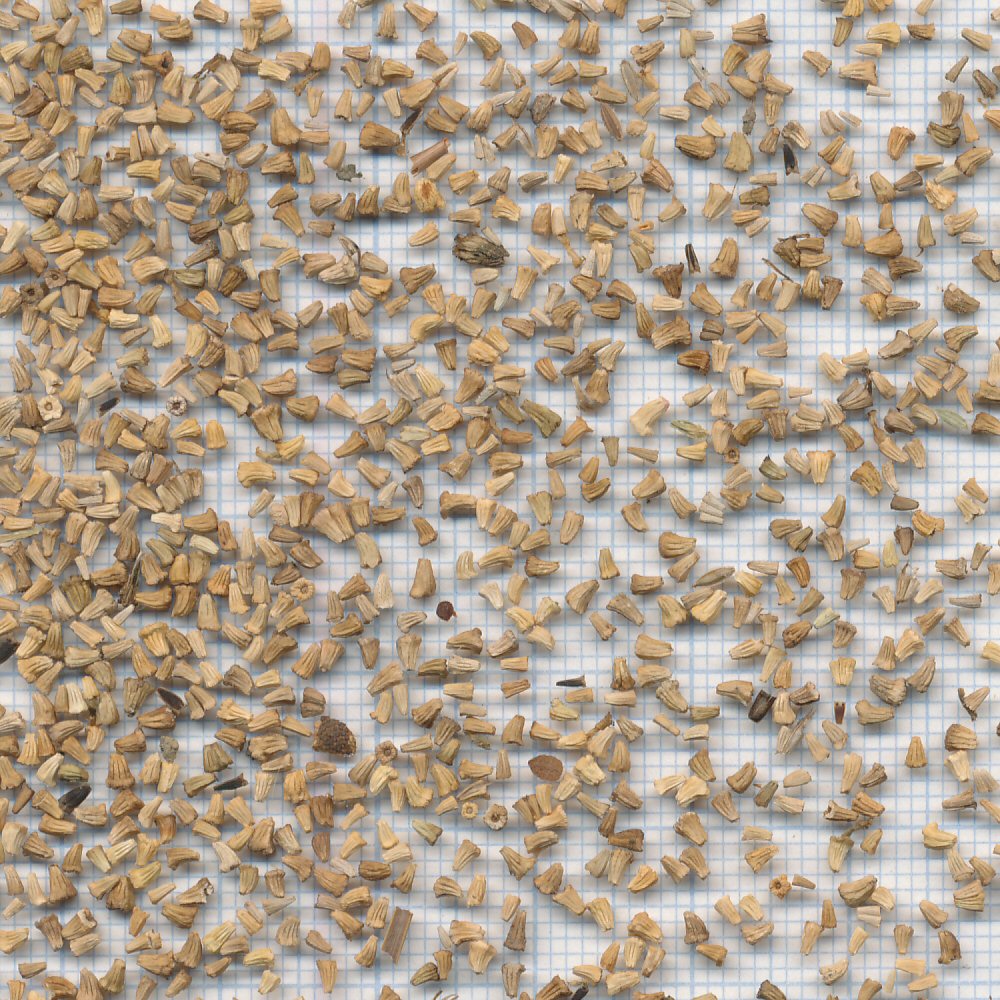60 mm