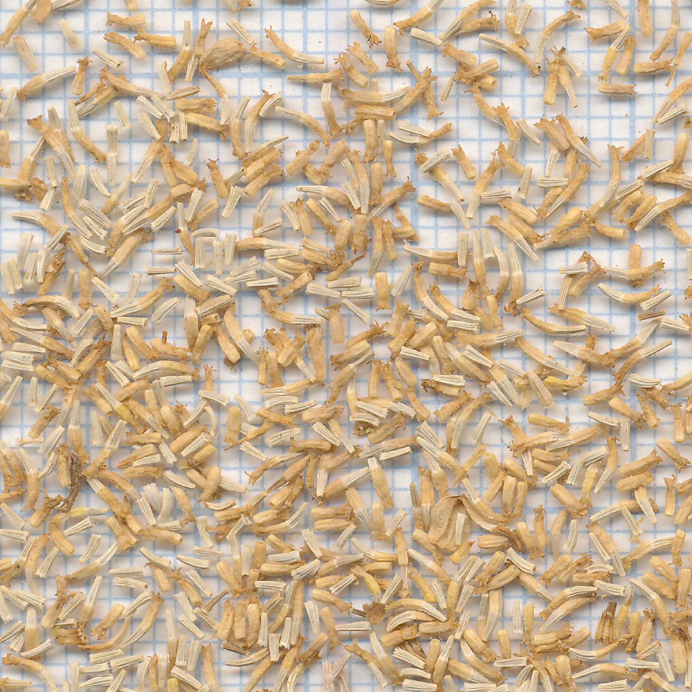 60 mm